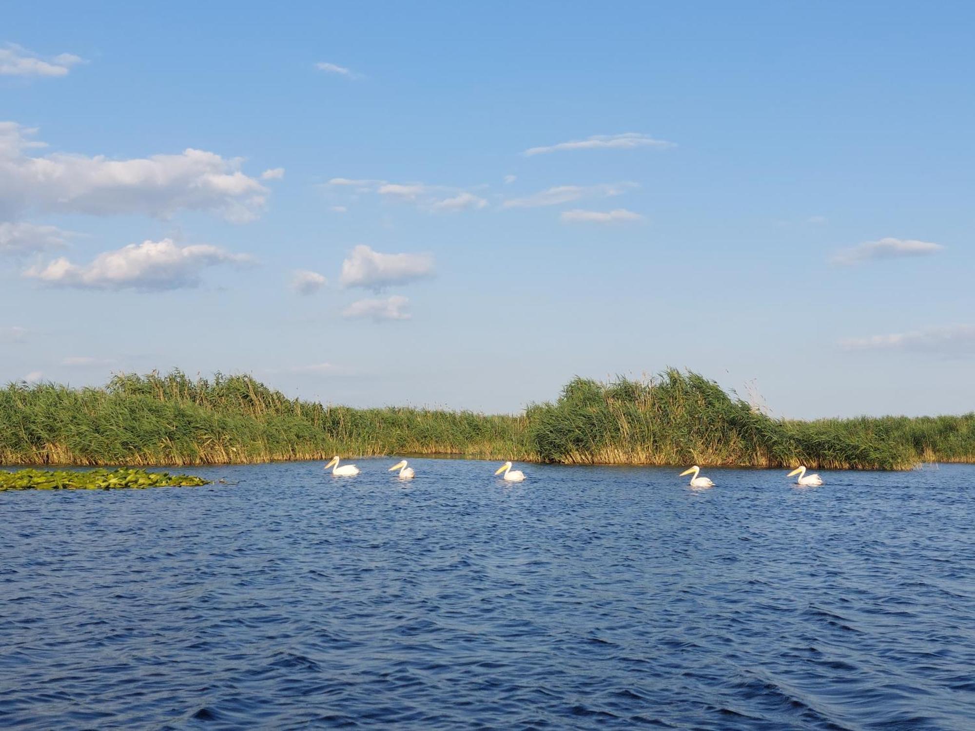 Pensiunea Paradiso Sarinasuf Buitenkant foto
